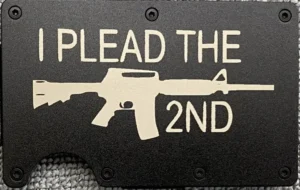 I Plead The 2nd - M16